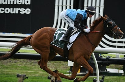 Caulfield Cup tips