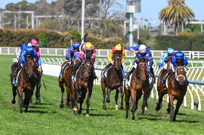 Caulfield Guineas 2025 - Barrier Draw & Final Field