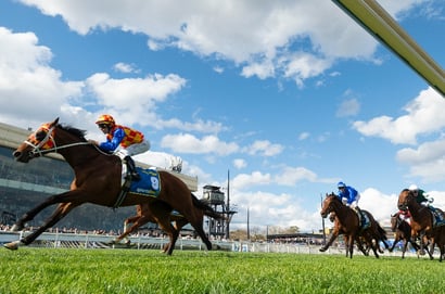 Caulfield Guineas Day 2025 Photo Gallery - Highlights from a Thrilling Spring Saturday