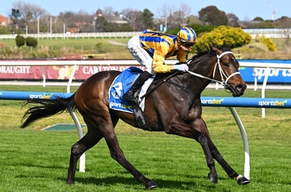 Caulfield Guineas barriers