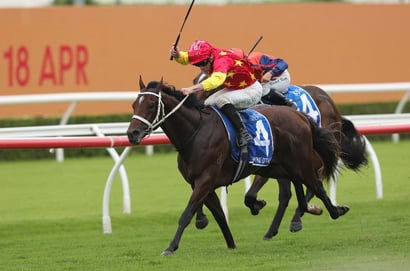 Caulfield Guineas odds