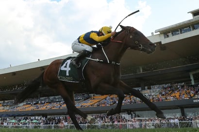 Caulfield Guineas 2026 Betting Odds - Warwoven Leads Blind Raise