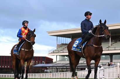 Caulfield Guineas tips