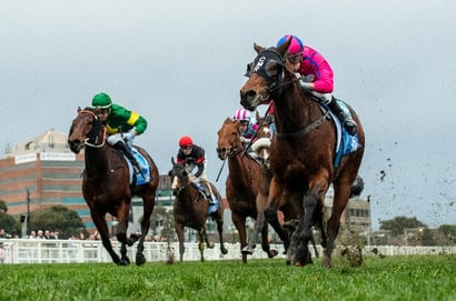 Caulfield Tips for 26.07.2025