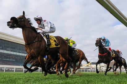 Caulfield Tips for 31.05.2025