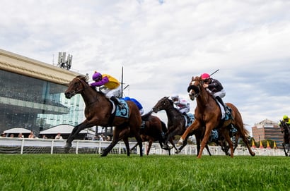 Caulfield tips for 14.03.2026