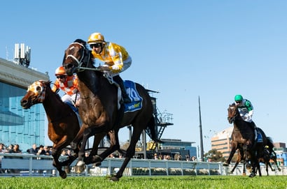 Caulfield tips for 14.10.2026