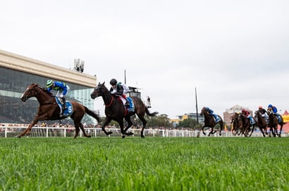Caulfield tips for 15.11.2025
