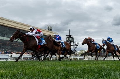 Caulfield tips for 19.09.2026