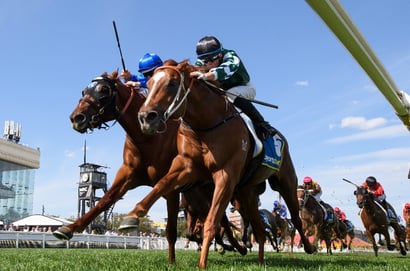 Caulfield tips for 21.02.2026