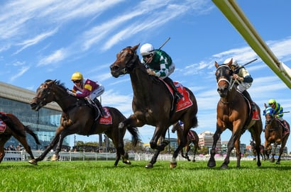 Caulfield Betting Tips for March 21, 2026 - Race-by-Race Preview for William Reid Stakes Day