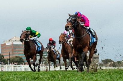 Caulfield tips for 25.07.2026