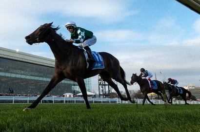Caulfield tips for 29.08.2026