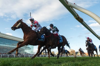Caulfield Betting Tips for August 30, 2025 - Race-By-Race preview for Memsie Stakes Day