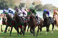 Champagne Stakes Odds