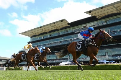 Champagne Stakes Tips