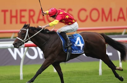 Champagne Stakes 2026 Betting Tips - Salann the Value Play