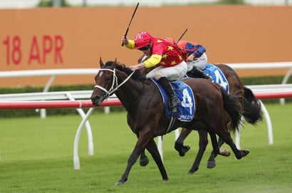 Champagne Stakes 2026 Betting Odds - Campione D’Italia a Clear Favourite