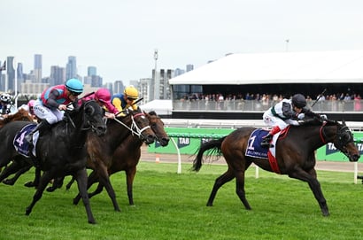 Champions Mile 2025 Betting Odds - Mr Brightside is $4.80 to go back-to-back