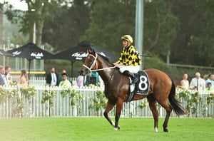 Champions Mile Odds