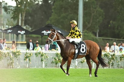 Champions Mile Odds