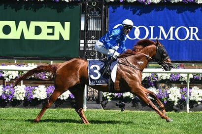 Champions Sprint 2025 Betting Odds - Tentyris Leads the Market from Joliestar & Giga Kick