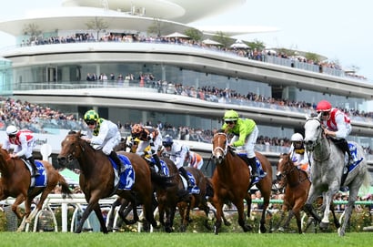 Champions Sprint 2025 Betting Odds - Jimmysstar is a $7 favourite