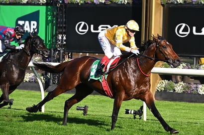 Champions Stakes odds