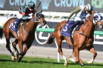 Changing Colours Flemington