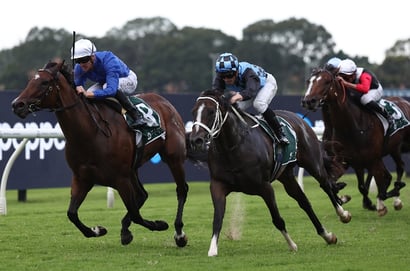 Coolmore Classic Tips - Can the fillies serve it up to the mares in the Coolmore Classic?