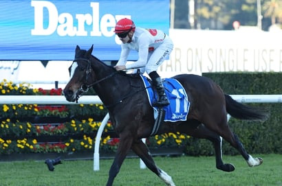 Coffs Harbour Tips for 01.08.2025