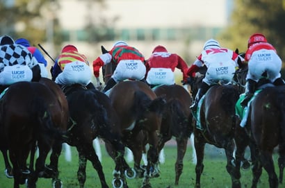Coffs Harbour Tips for 20.06.2025