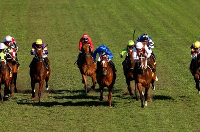Coffs Harbour Tips for 29.06.2025