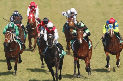 Coffs Harbour tips for 04.09.2025