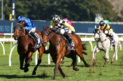 Coffs Harbour tips for 07.08.2026