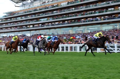 Commonwealth Cup
