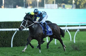 Coolmore Barriers