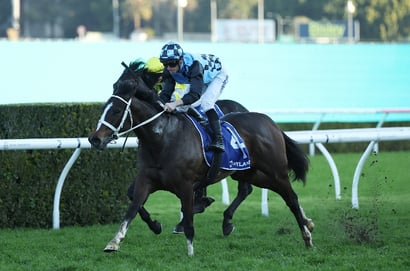 Coolmore Barriers