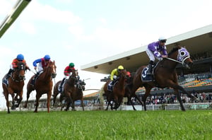 Coolmore Classic Barriers