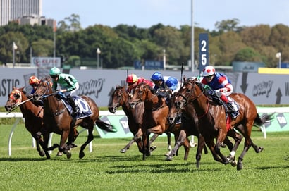 Coolmore Classic tips