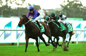 Coolmore odds