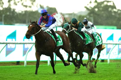 Coolmore odds