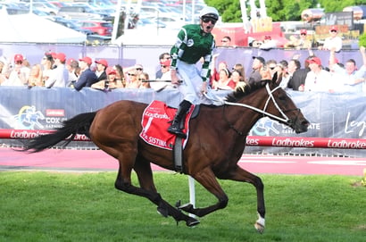 Cox Plate 2025 - Barrier Draw & Final Field
