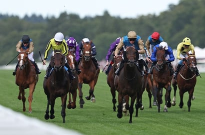 Cox Plate Nominations
