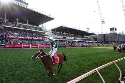 Cox Plate 2025 Betting Tips - Will Via Sistina defend her crown?