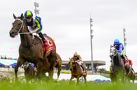 Cranbourne Tips for 01.08.2025