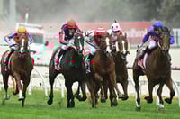 Cranbourne Tips for 09.05.2025