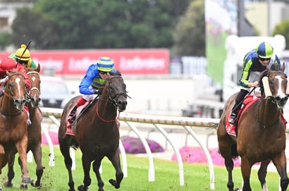 Cranbourne Tips for 11.04.2025