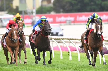 Cranbourne Tips for 16.05.2025