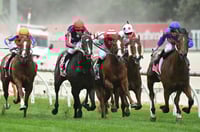 Cranbourne Tips for 17.07.2025